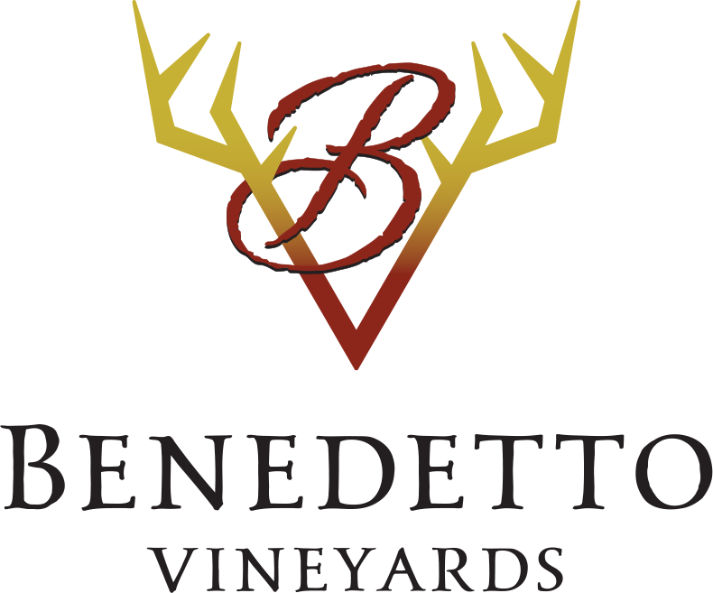 Benedetto Vineyards